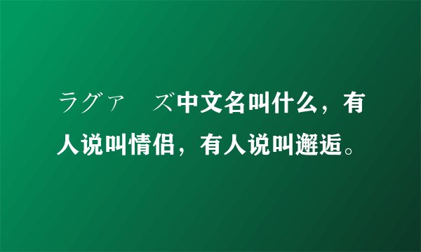 ラグァーズ中文名叫什么，有人说叫情侣，有人说叫邂逅。