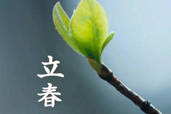 一家人躲春怎么躲