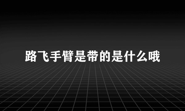 路飞手臂是带的是什么哦