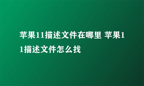 苹果11描述文件在哪里 苹果11描述文件怎么找