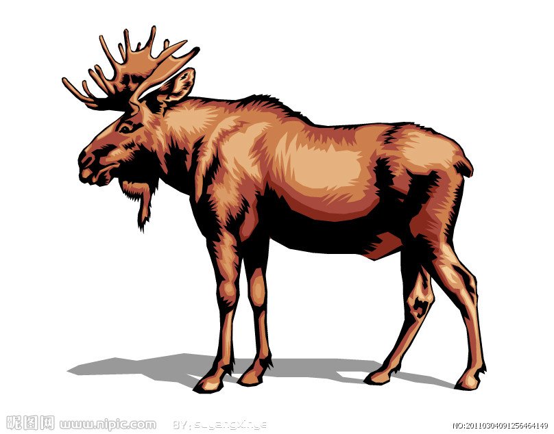 四不像的那个动物叫什么啊？有图片发？