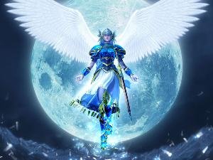 蕾娜斯·瓦尔基里的介绍