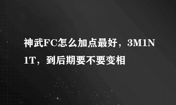 神武FC怎么加点最好，3M1N1T，到后期要不要变相