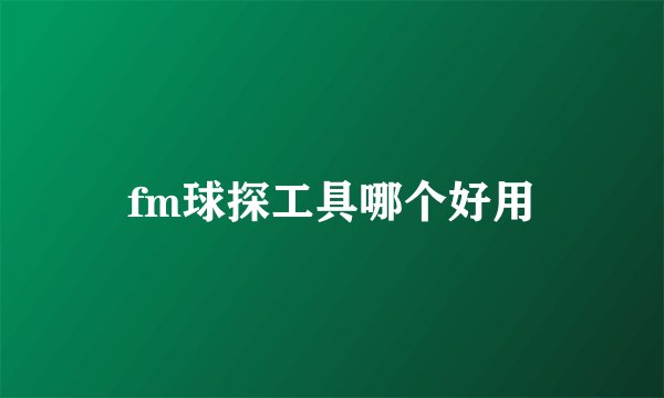 fm球探工具哪个好用