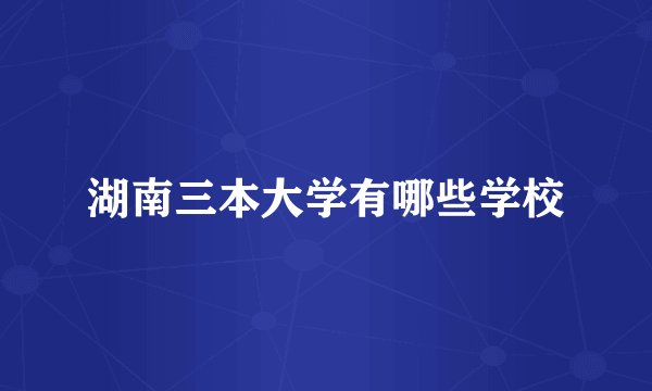 湖南三本大学有哪些学校