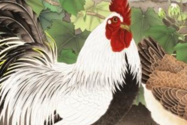 静观其变指什么动物和生肖