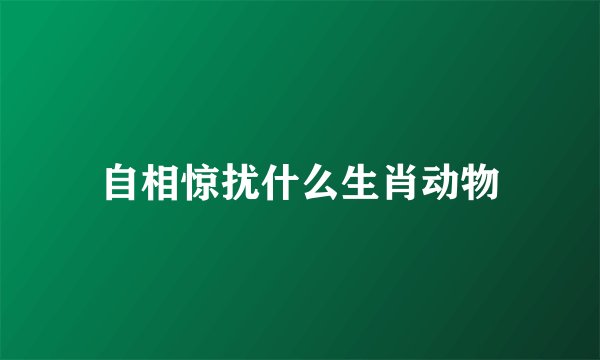 自相惊扰什么生肖动物