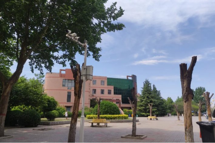 石家庄职业技术学院单招录取分数线是多少？