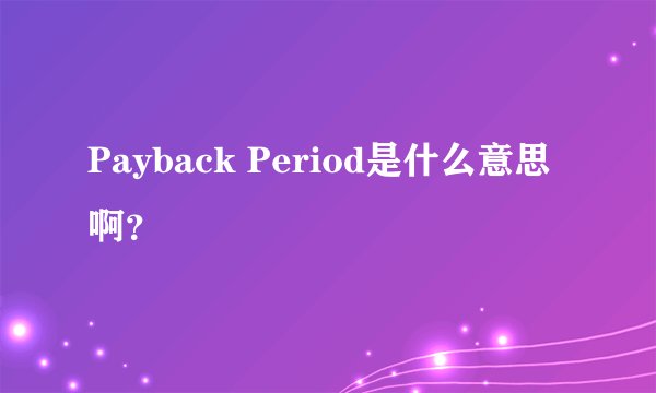 Payback Period是什么意思啊？