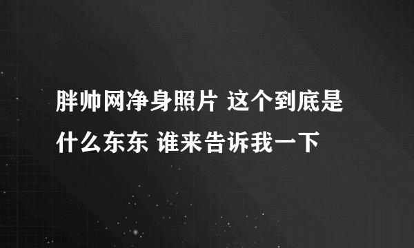 胖帅网净身照片 这个到底是什么东东 谁来告诉我一下