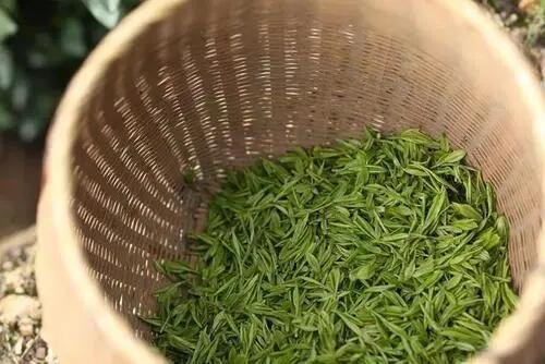 雨前茶是什么意思