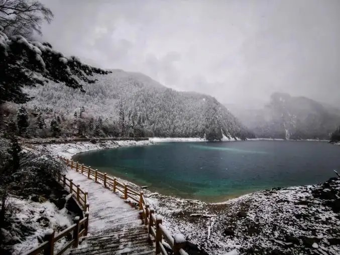 九寨沟国庆遇冷：7天迎客211位，前3天游客都是个位数，为何这么惨？