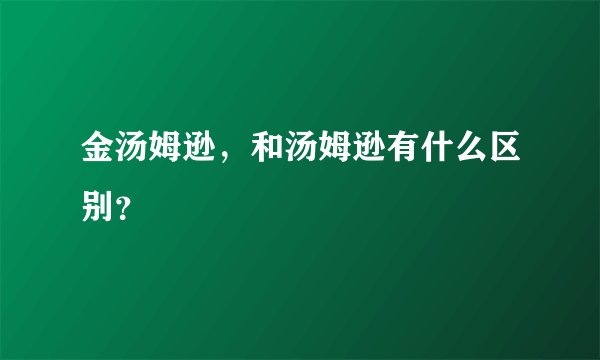金汤姆逊，和汤姆逊有什么区别？