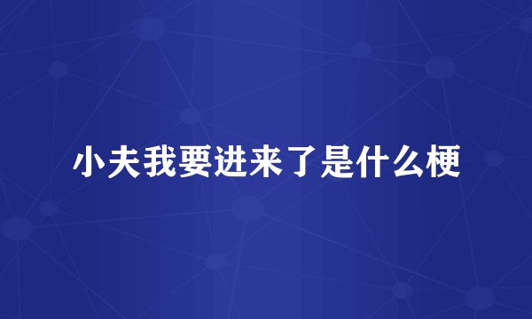 小夫我要进来了是什么梗