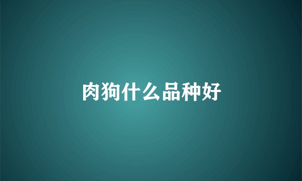 肉狗什么品种好