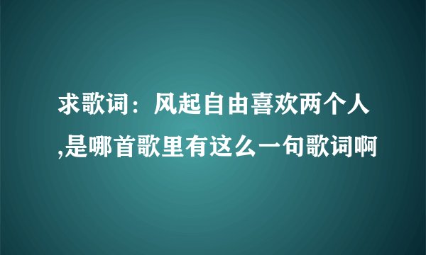 求歌词：风起自由喜欢两个人,是哪首歌里有这么一句歌词啊
