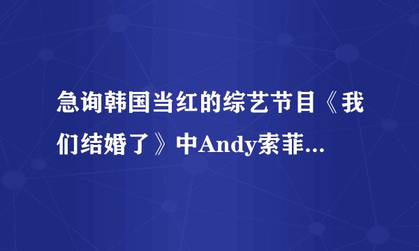 急询韩国当红的综艺节目《我们结婚了》中Andy索菲夫妇在中秋特辑里一起表演的那首歌曲《love song》的原唱