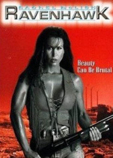 天鹰复仇记的介绍