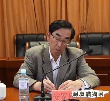 安家盛的个人简历