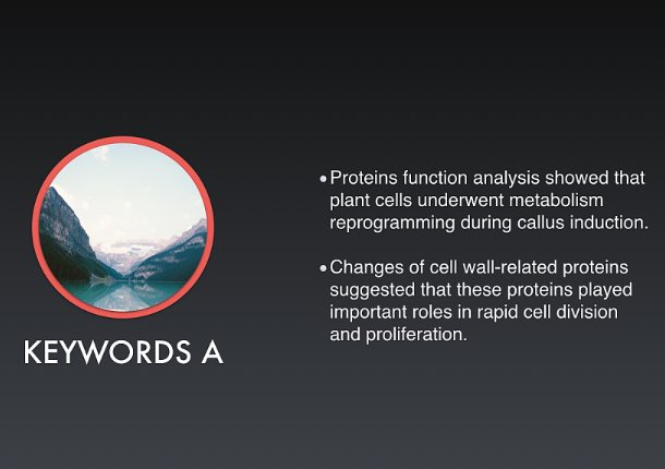 ppt用什么软件打开
