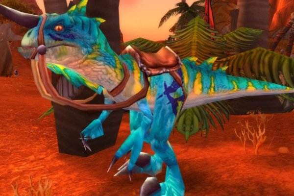 WOW，兽王猎人升级带什么宠物