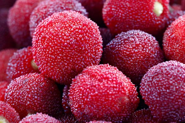 杨梅汁怎么清洗才能洗得干净