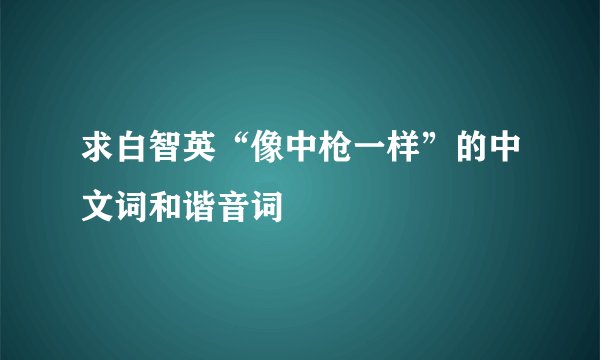 求白智英“像中枪一样”的中文词和谐音词