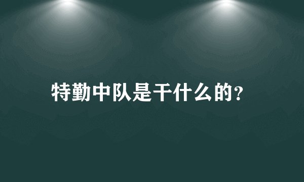 特勤中队是干什么的？