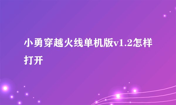 小勇穿越火线单机版v1.2怎样打开