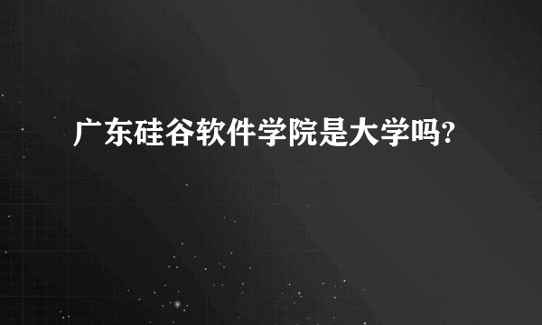 广东硅谷软件学院是大学吗?
