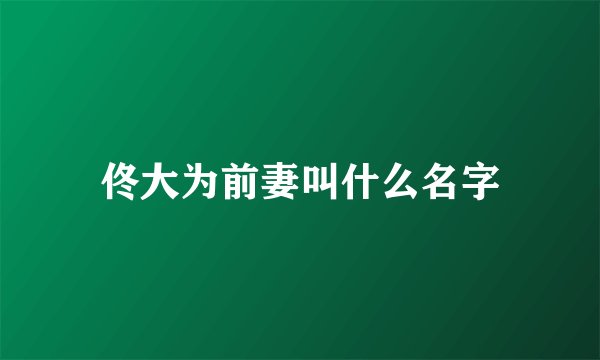佟大为前妻叫什么名字