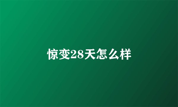 惊变28天怎么样