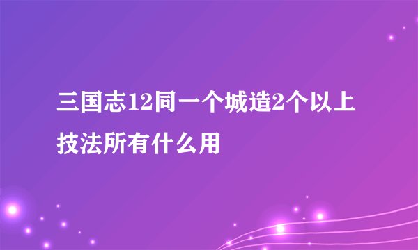 三国志12同一个城造2个以上技法所有什么用