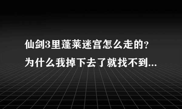 仙剑3里蓬莱迷宫怎么走的？为什么我掉下去了就找不到出口了呢？哪位高人帮个忙啊！急急急！谢谢啊先！