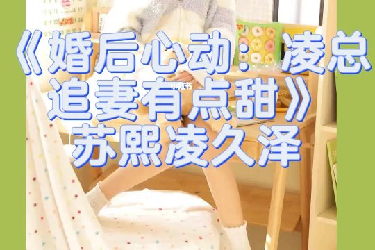 苏熙凌久泽婚后心动大结局