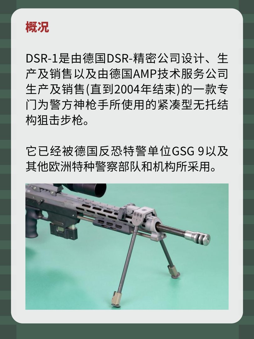 德国DSR-1狙击步枪