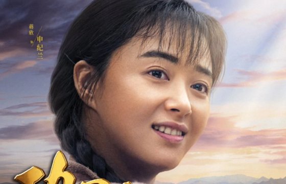 《功勋》的八个人物是谁