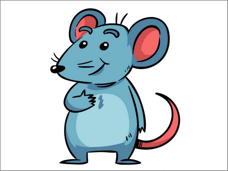 假阶救火是什么生肖