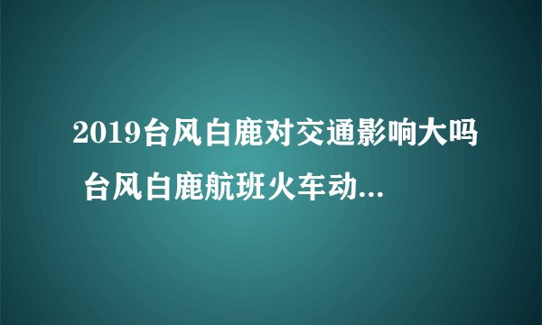 2019台风白鹿对交通影响大吗 台风白鹿航班火车动车停运最新消息