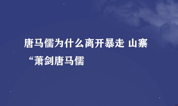 唐马儒为什么离开暴走 山寨“萧剑唐马儒