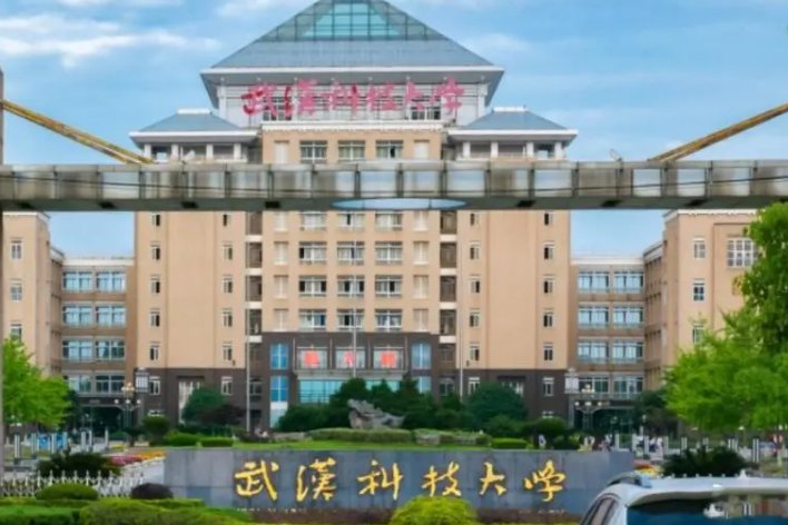 湖北公办一本大学排名一览表