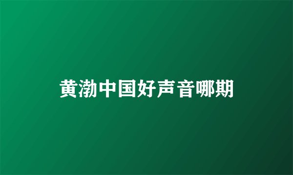 黄渤中国好声音哪期