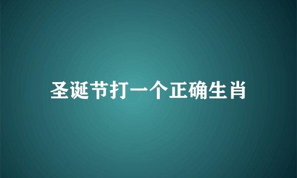 圣诞节打一个正确生肖