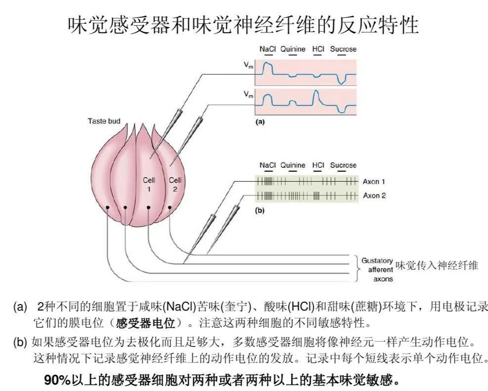 第一次之后的感受？