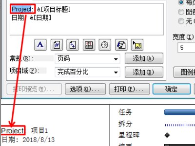 如何把英文的Project Reader软件转换成中文版本