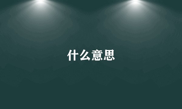 什么意思