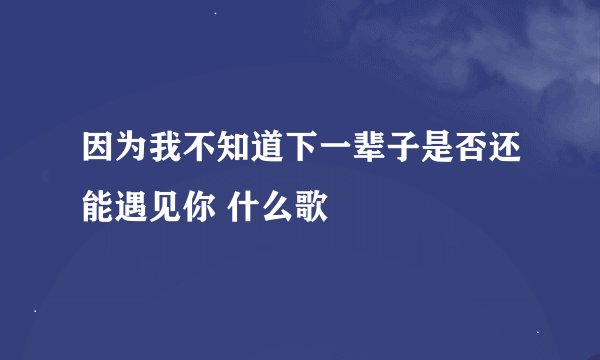 因为我不知道下一辈子是否还能遇见你 什么歌