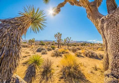 震撼航拍，看重庆救援的人有多少！这一幕为何能戳到你？
