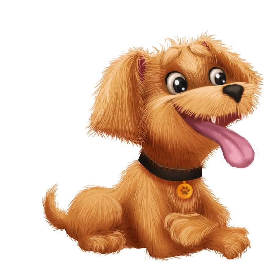 行侠仗义，是一个人骨子里的善良和正义感，那么喜欢行侠仗义的生肖有哪些？