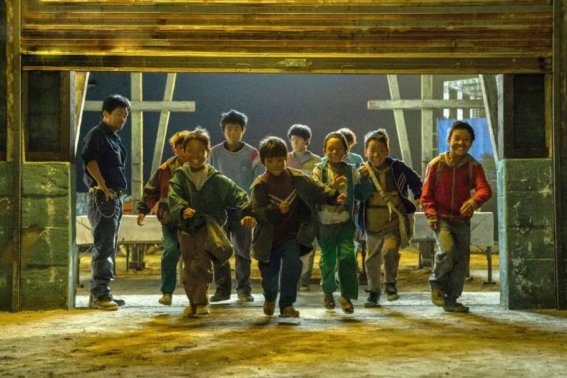 八角笼中多少回本